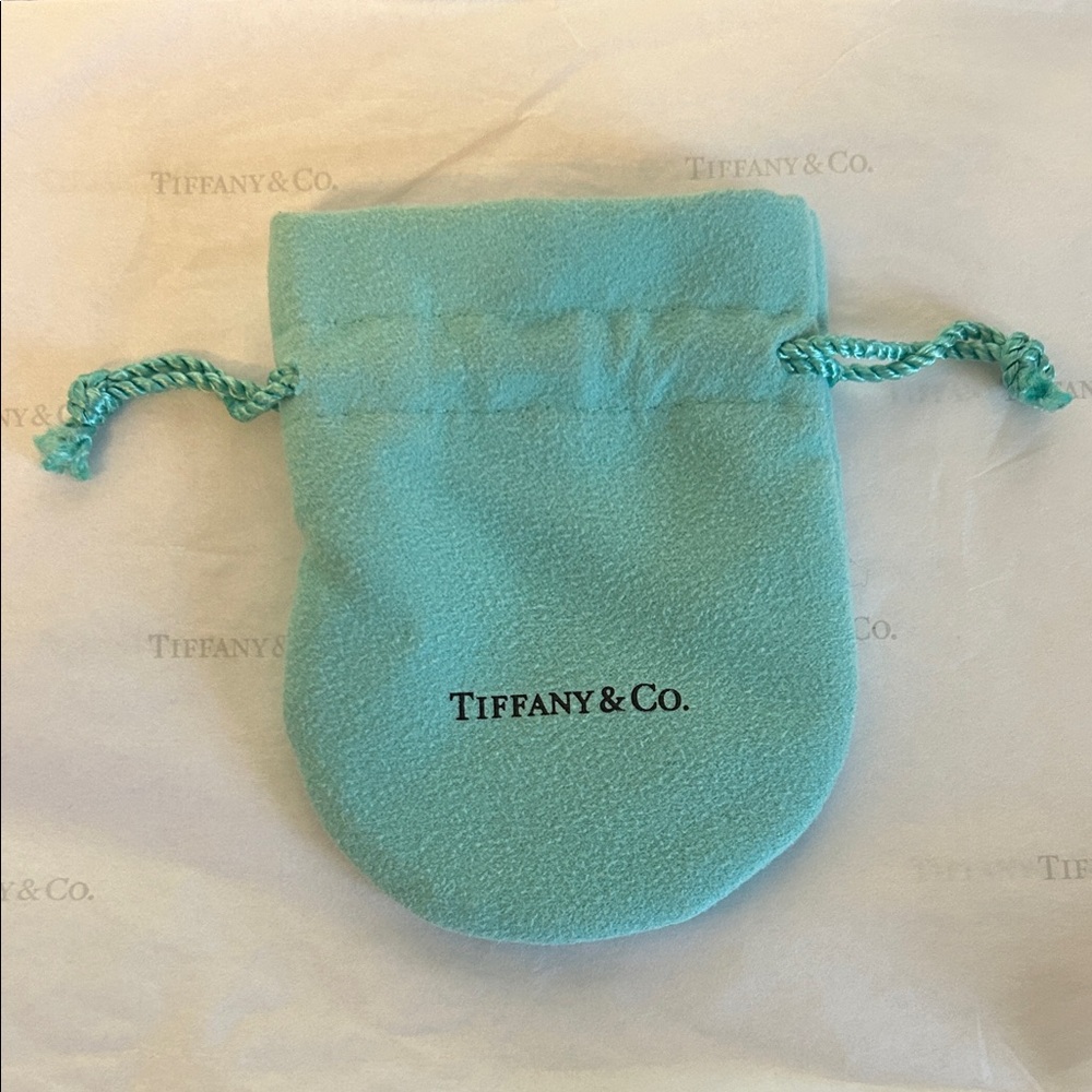 Tiffany & Co. Turquoise Drawstring Pouch
